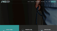 Desktop Screenshot of amig.ch